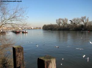 The Thames at Barnes