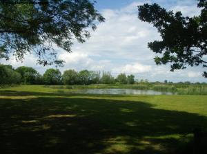 The pond by Pumney Farm