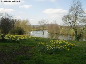 The Thames at Culham Court