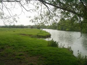 The Thames between Little Wittenham and Burcot