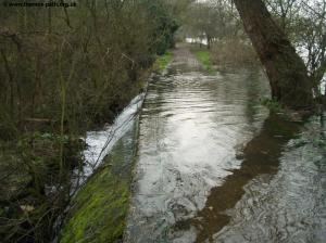 The Thames pours over the path