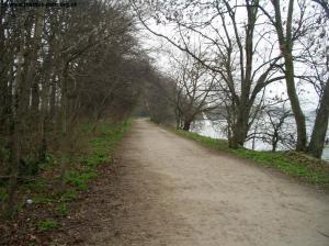 The path beyond Beverley Brook
