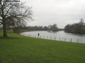 The Thames at Petersham Meadows