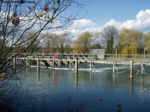 The weir at Old Windsor Lock