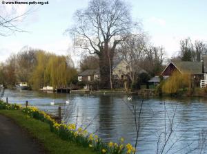 The River at Staines