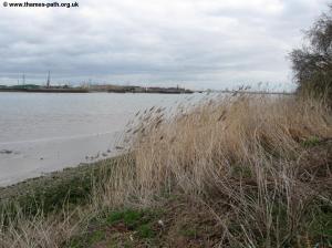 The Thames at Thamesmead