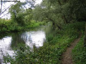 The Thames near Hannington Bridge