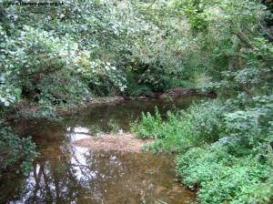 The Thames beyond Ashton Keynes