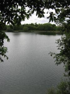 Neigh Bridge Country Park