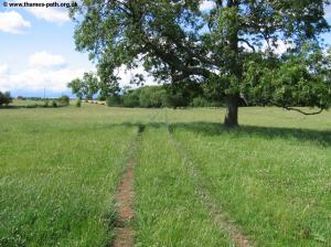 Approaching the source