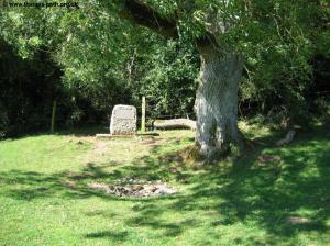 The source of the Thames