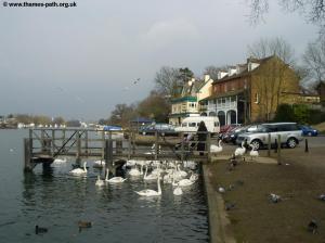 The Anglers