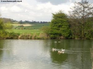 The Thames near Tilehurst