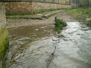 Barnes Bridge