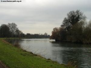 The Thames at Petersham Meadows