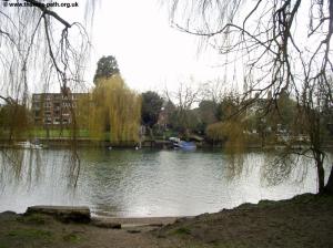 The Thames looking over to Strawberry Hill