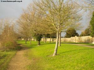 The Thames Path near Hampton Court