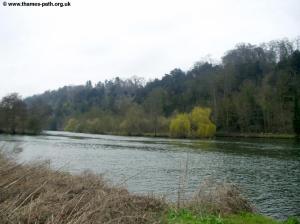 The River near Maidenhead